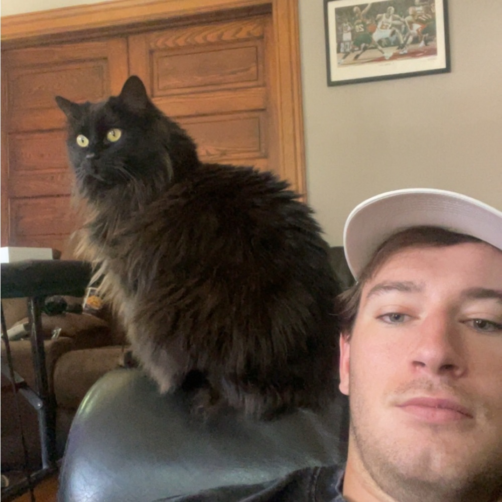 Meet your Posher, Hayes